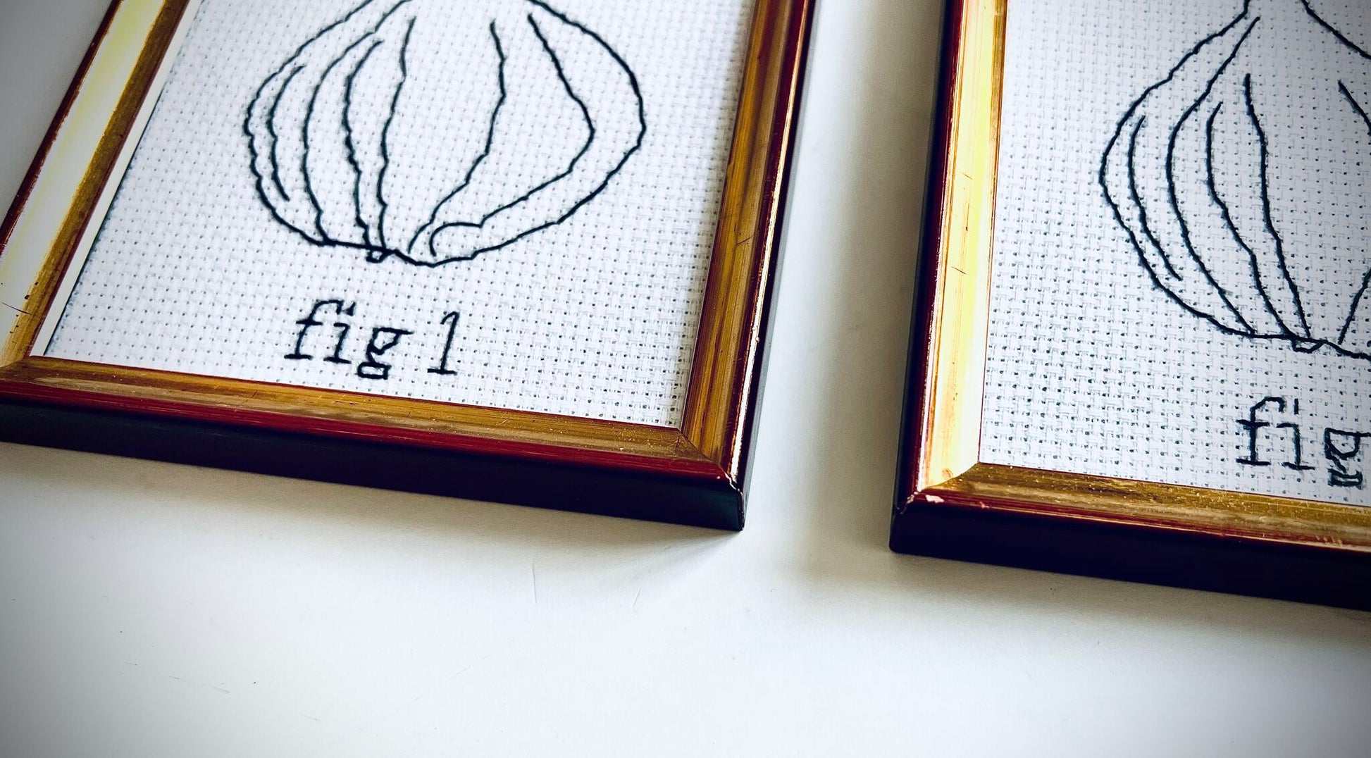 «Fig1&Fig2»