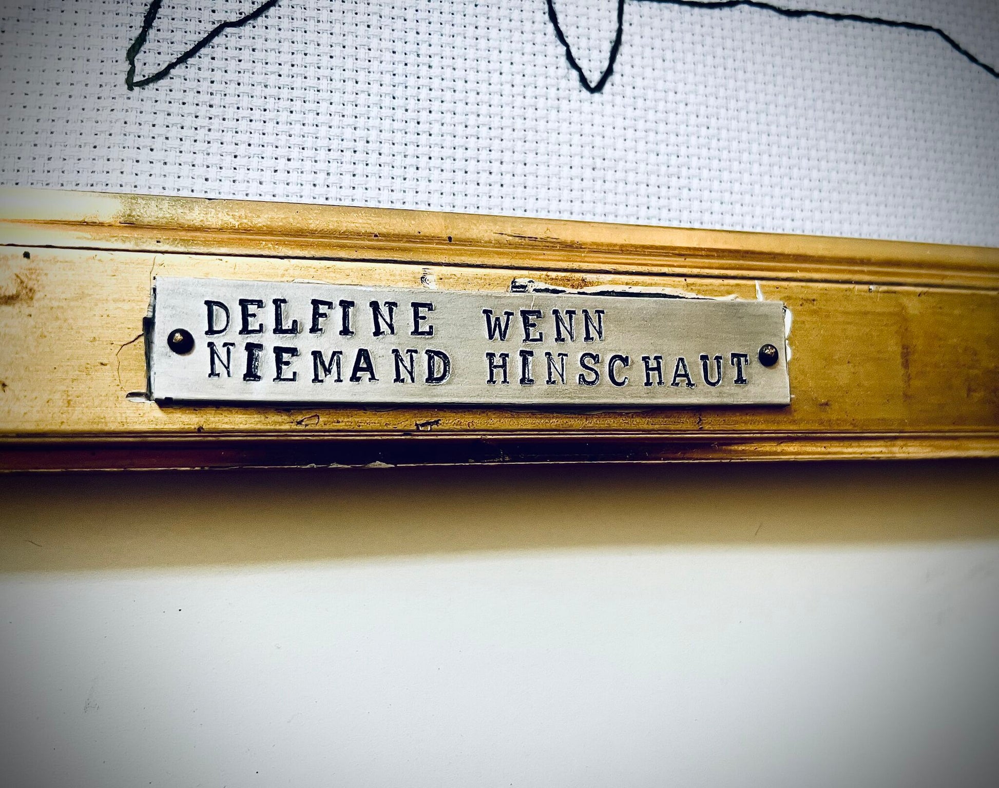 «Delfine wenn niemand hinschaut»